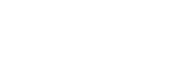 Bostan Cleaning Company logo, light